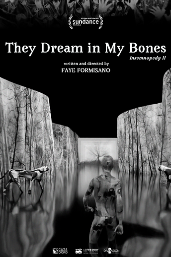 They Dream in My Bones – Insemnopedy II
