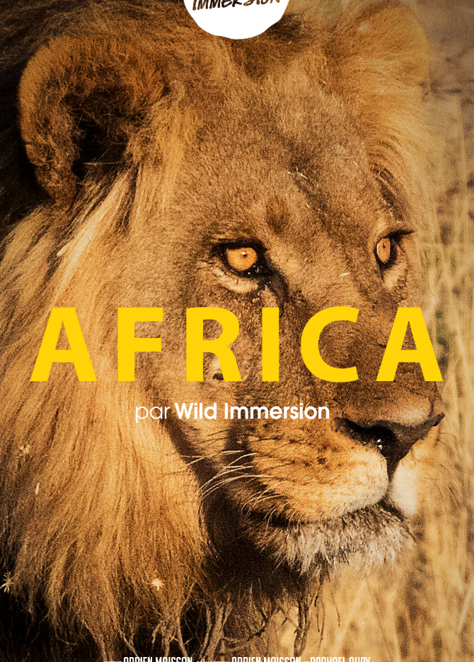 Wild Immersion : Africa